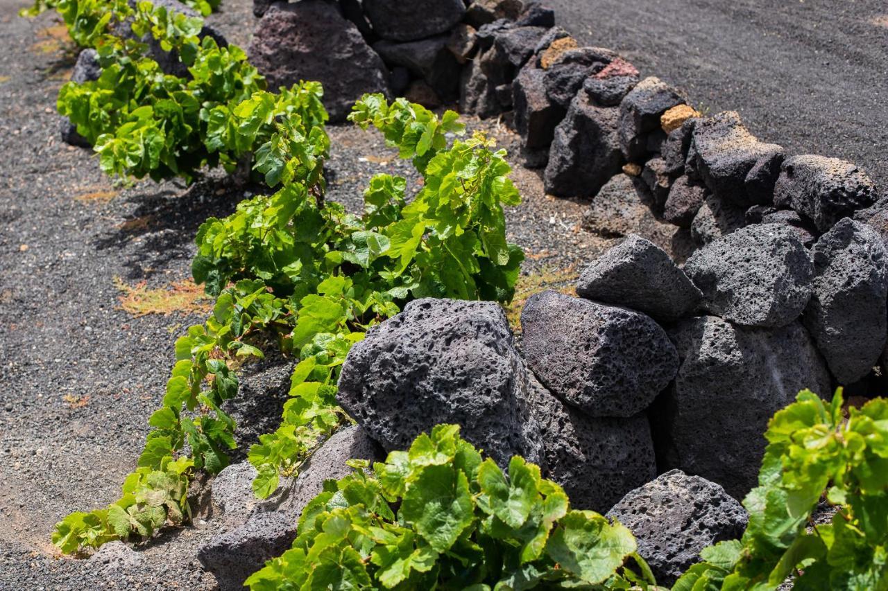 Hôtel Eslanzarote Eco Dome Experience à Teguise  Extérieur photo